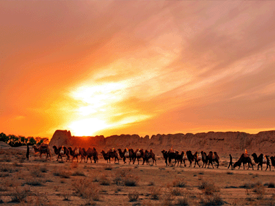 丝路文化深度定制游